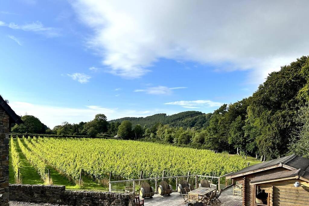 Vineyard Country Cottage Llanerch-Aeron Ngoại thất bức ảnh