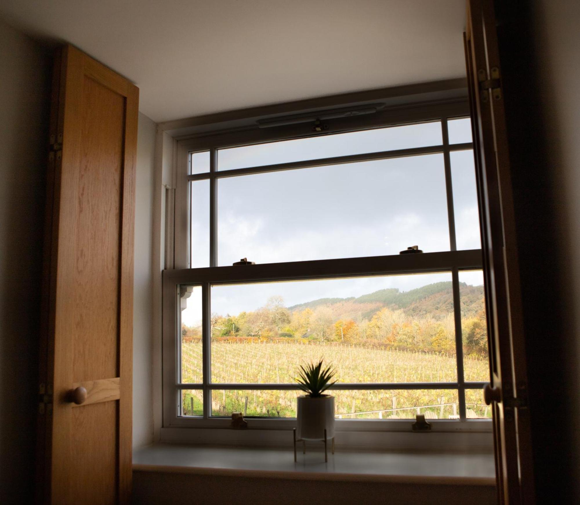 Vineyard Country Cottage Llanerch-Aeron Ngoại thất bức ảnh
